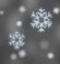 Snow Snow