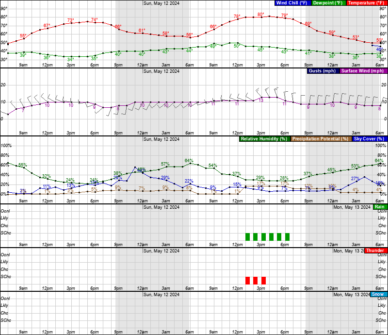 hourly graphical forecast