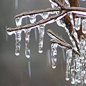This Afternoon: Patchy freezing drizzle.  Cloudy, with a steady temperature around 28. North wind 10 to 15 mph, with gusts as high as 20 mph. 