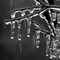 Overnight: Patchy freezing drizzle after 3am.  Mostly cloudy, with a low around 22. South wind around 5 mph becoming calm. 